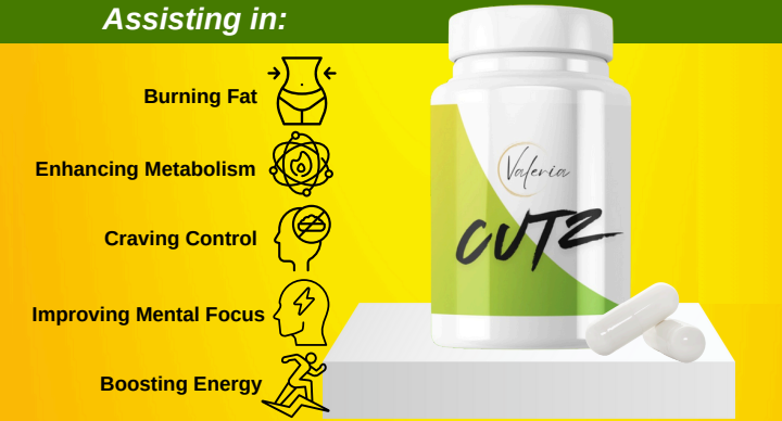 Wellness Natural Slim featured image 3